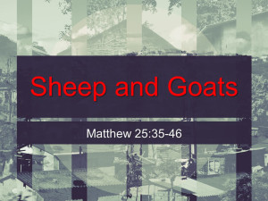 Sermon - Sheep and Goats