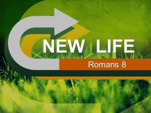 Sermon - New Life