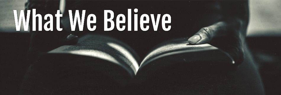 Entrusted With The Gospel Church Website Banner